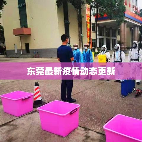 东莞最新疫情动态更新
