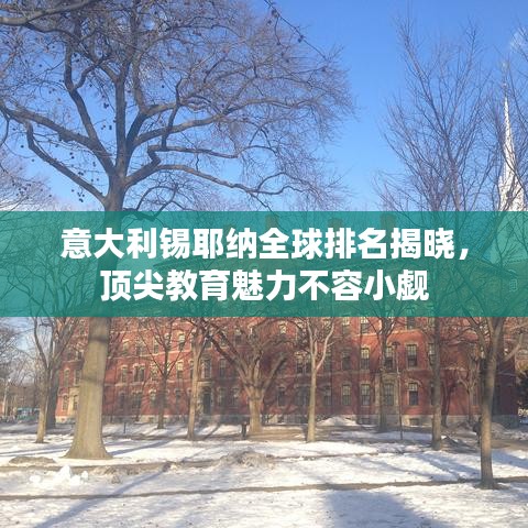 意大利锡耶纳全球排名揭晓,顶尖教育魅力不容小觑