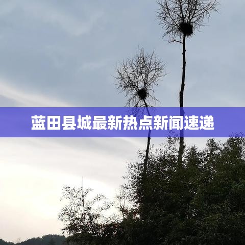 蓝田县城最新热点新闻速递
