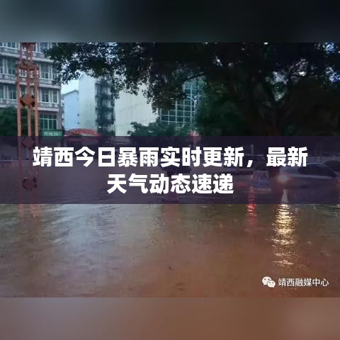 靖西今日暴雨实时更新,最新天气动态速递