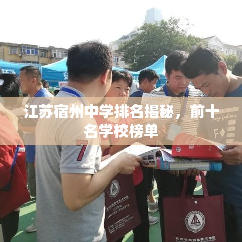 江苏宿州中学排名揭秘，前十名学校榜单