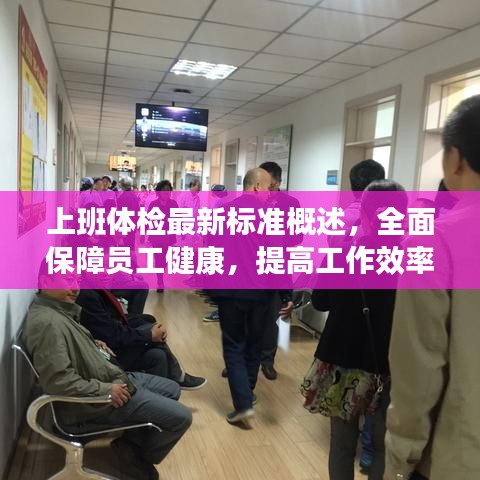 上班体检最新标准概述,全面保障员工健康,提高工作效率