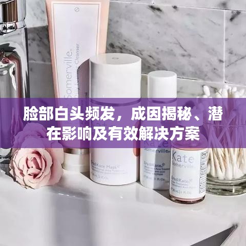 迷你世界怎么弄激活码与电视粉官方网站下载,实地验证数据设计-Essential_v1.454