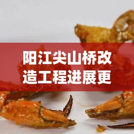 阳江尖山桥改造工程进展更新，最新消息揭秘改造动态