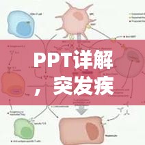 PPT详解，突发疾病预防策略与应对之道