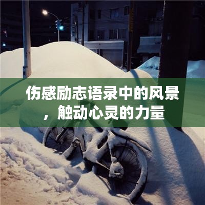 伤感励志语录中的风景,触动心灵的力量