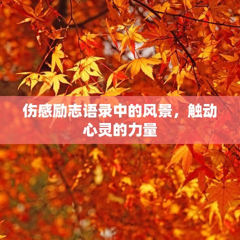 伤感励志语录中的风景,触动心灵的力量