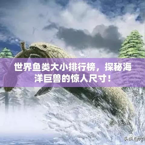 世界鱼类大小排行榜，探秘海洋巨兽的惊人尺寸！
