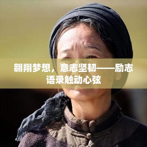 翱翔梦想,意志坚韧——励志语录触动心弦