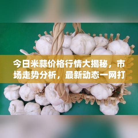 今日米蒜价格行情大揭秘，市场走势分析，最新动态一网打尽