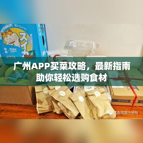 广州APP买菜攻略，最新指南助你轻松选购食材