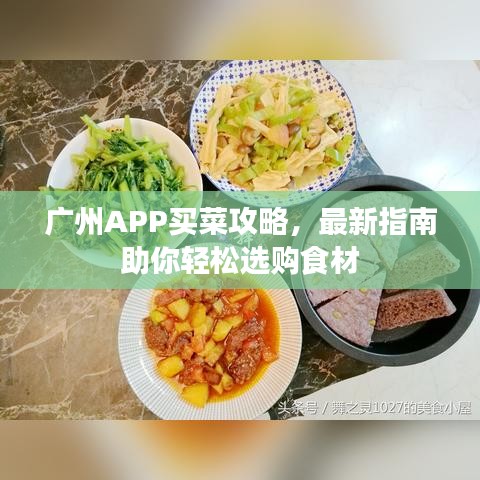 归乡异途官方下载,全面计划执行-Holo_v10.698