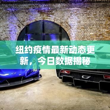 纽约疫情最新动态更新，今日数据揭秘