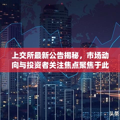 上交所最新公告揭秘，市场动向与投资者关注焦点聚焦于此