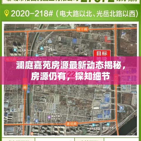 澜庭嘉苑房源最新动态揭秘，房源仍有，探知细节