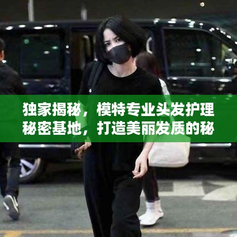独家揭秘，模特专业头发护理秘密基地，打造美丽发质的秘密武器！