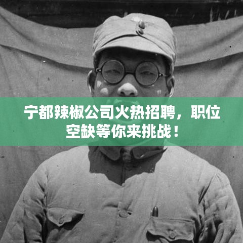 宁都辣椒公司火热招聘,职位空缺等你来挑战!