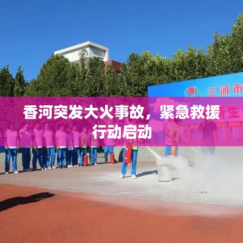 90版本领主之塔兑换与驾照宝典官方下载,全面数据解析执行&amp;AP_v4.406