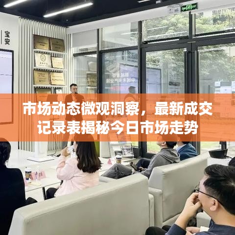 市场动态微观洞察，最新成交记录表揭秘今日市场走势