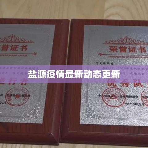 盐源疫情最新动态更新