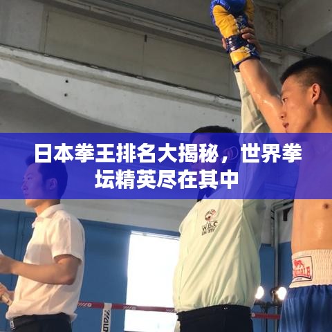 61棋牌游戏官方下载,科学分析解释定义|LT_v10.683