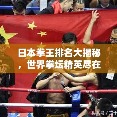日本拳王排名大揭秘,世界拳坛精英尽在其中