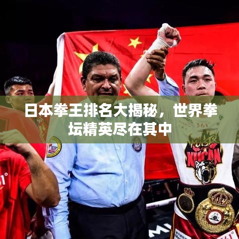 日本拳王排名大揭秘,世界拳坛精英尽在其中
