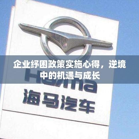 企业纾困政策实施心得，逆境中的机遇与成长