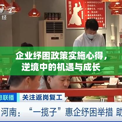 企业纾困政策实施心得,逆境中的机遇与成长