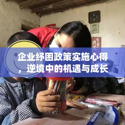 企业纾困政策实施心得,逆境中的机遇与成长