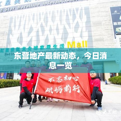 东营地产最新动态，今日消息一览