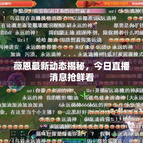 薇恩最新动态揭秘,今日直播消息抢鲜看