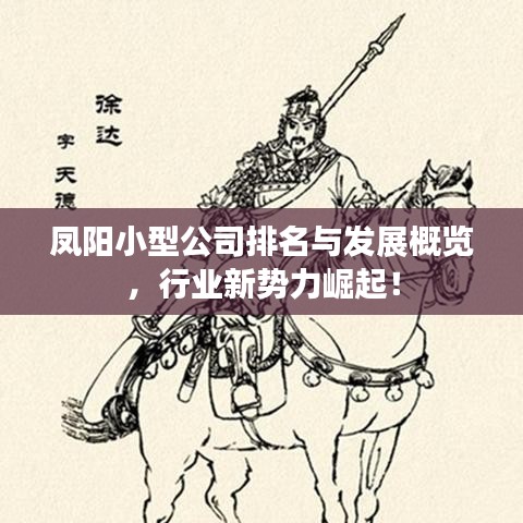 凤阳小型公司排名与发展概览，行业新势力崛起！