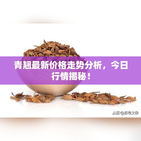 青翘最新价格走势分析，今日行情揭秘！