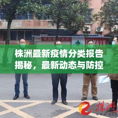 株洲最新疫情分类报告揭秘，最新动态与防控进展