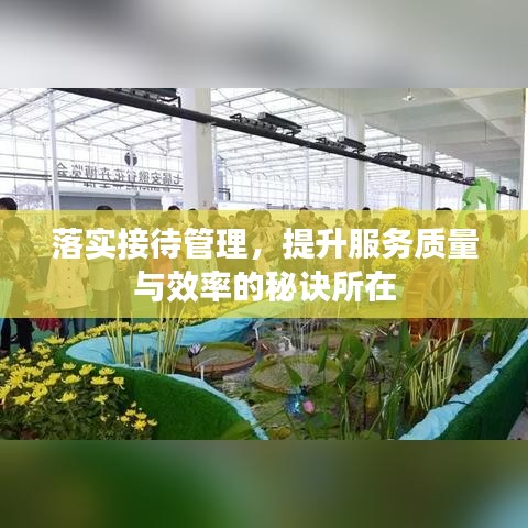 落实接待管理,提升服务质量与效率的秘诀所在