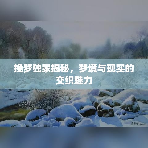 挽梦独家揭秘，梦境与现实的交织魅力