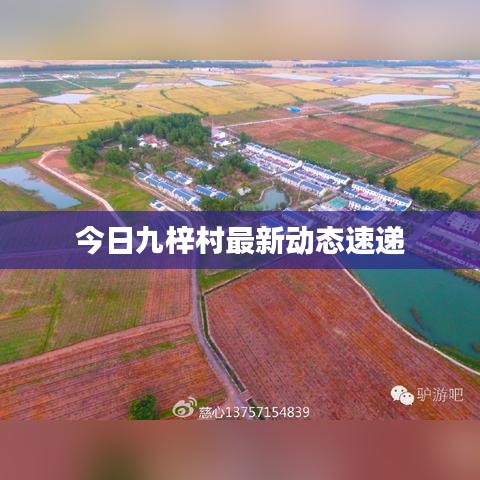 今日九梓村最新动态速递