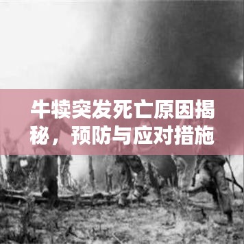 牛犊突发死亡原因揭秘，预防与应对措施