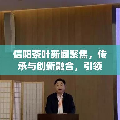 信阳茶叶新闻聚焦，传承与创新融合，引领茶产业迈入新篇章