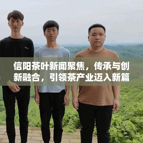 信阳茶叶新闻聚焦,传承与创新融合,引领茶产业迈入新篇章