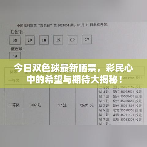 今日双色球最新晒票，彩民心中的希望与期待大揭秘！