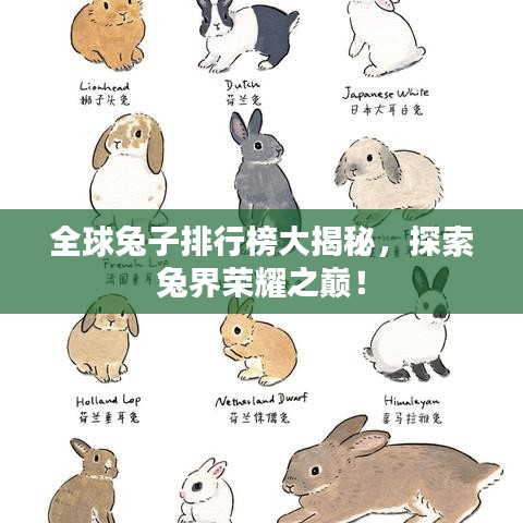 全球兔子排行榜大揭秘,探索兔界荣耀之巅!