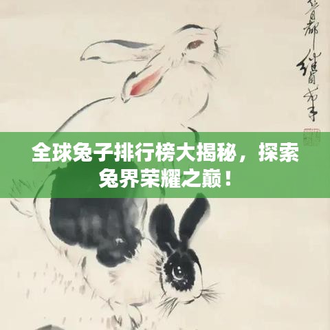 全球兔子排行榜大揭秘,探索兔界荣耀之巅!
