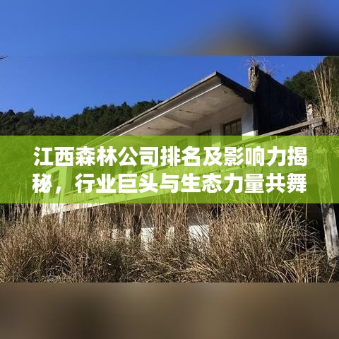 江西森林公司排名及影响力揭秘,行业巨头与生态力量共舞