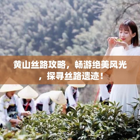黄山丝路攻略,畅游绝美风光,探寻丝路遗迹!