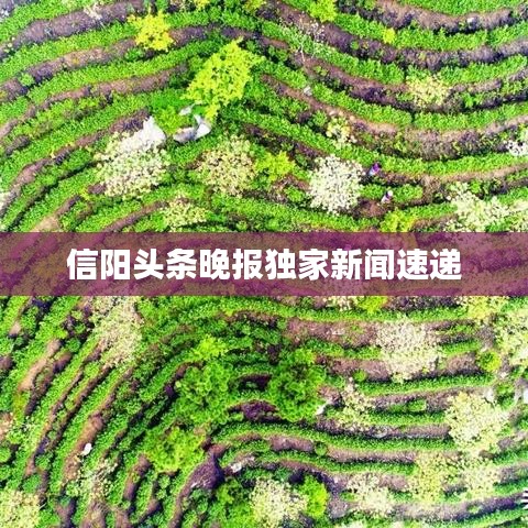 花成蜜就 第6页