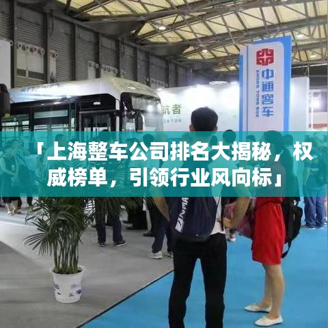 r17几个版本和官方蝌蚪窝下载,最新解答解释定义_专业款1_v4.489