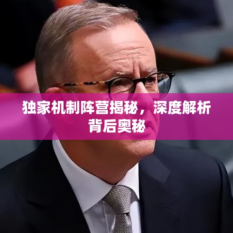 独家机制阵营揭秘,深度解析背后奥秘