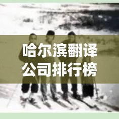 哈尔滨翻译公司排行榜TOP推荐，专业在线翻译服务一览